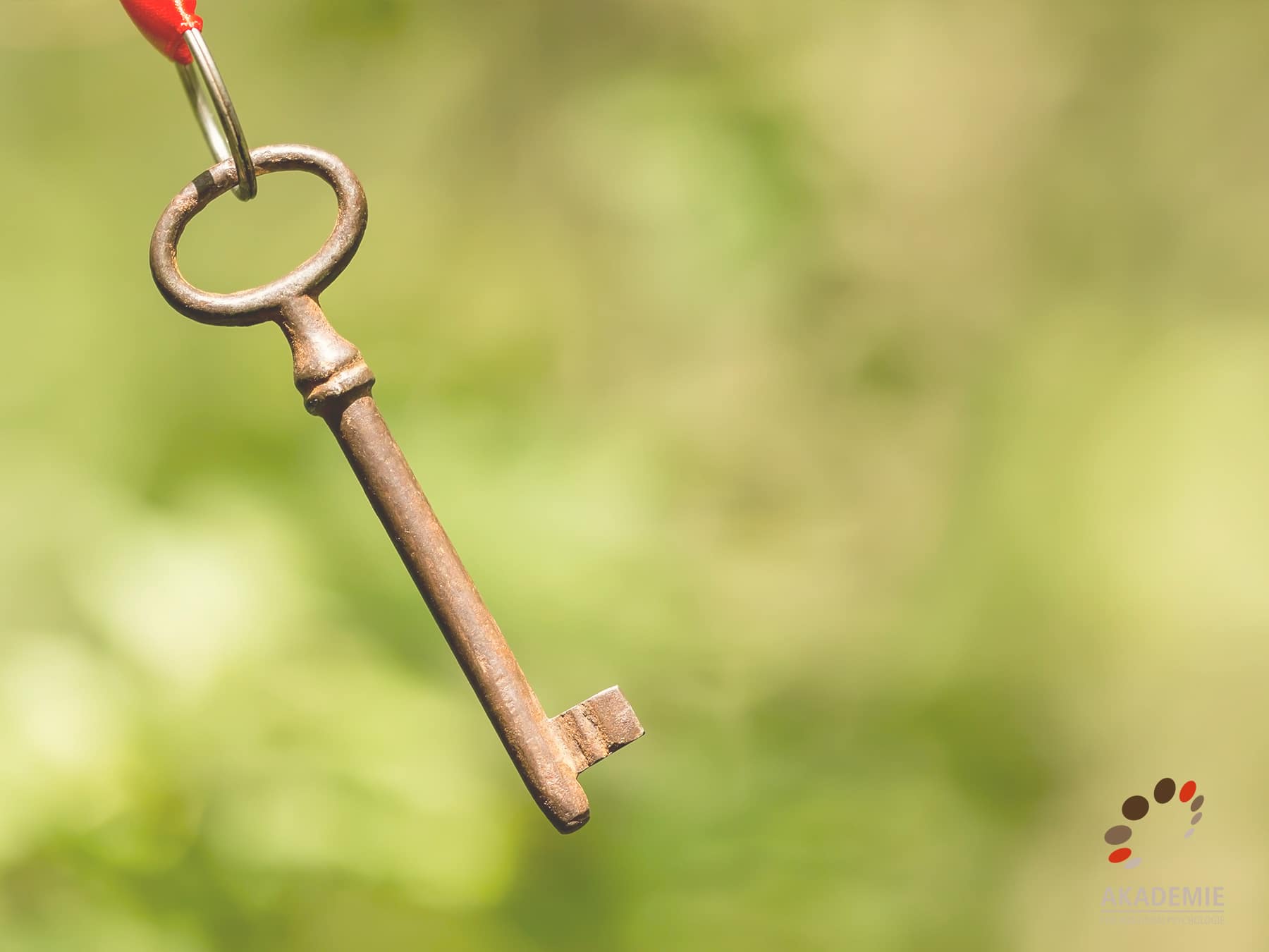 Wie wird das Wort «Life-Coaching» im deutschsprachigen Raum interpretiert?