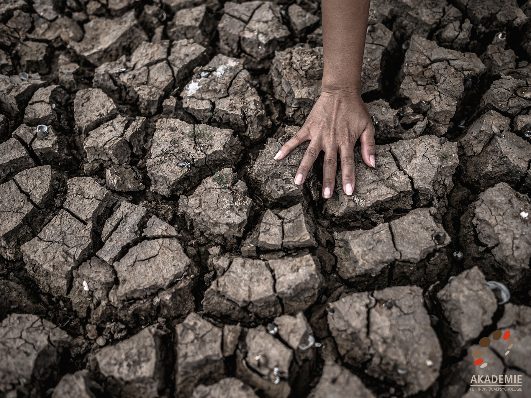 Krisen sind ein Teil des Lebens – unangenehm doch lernintensiv