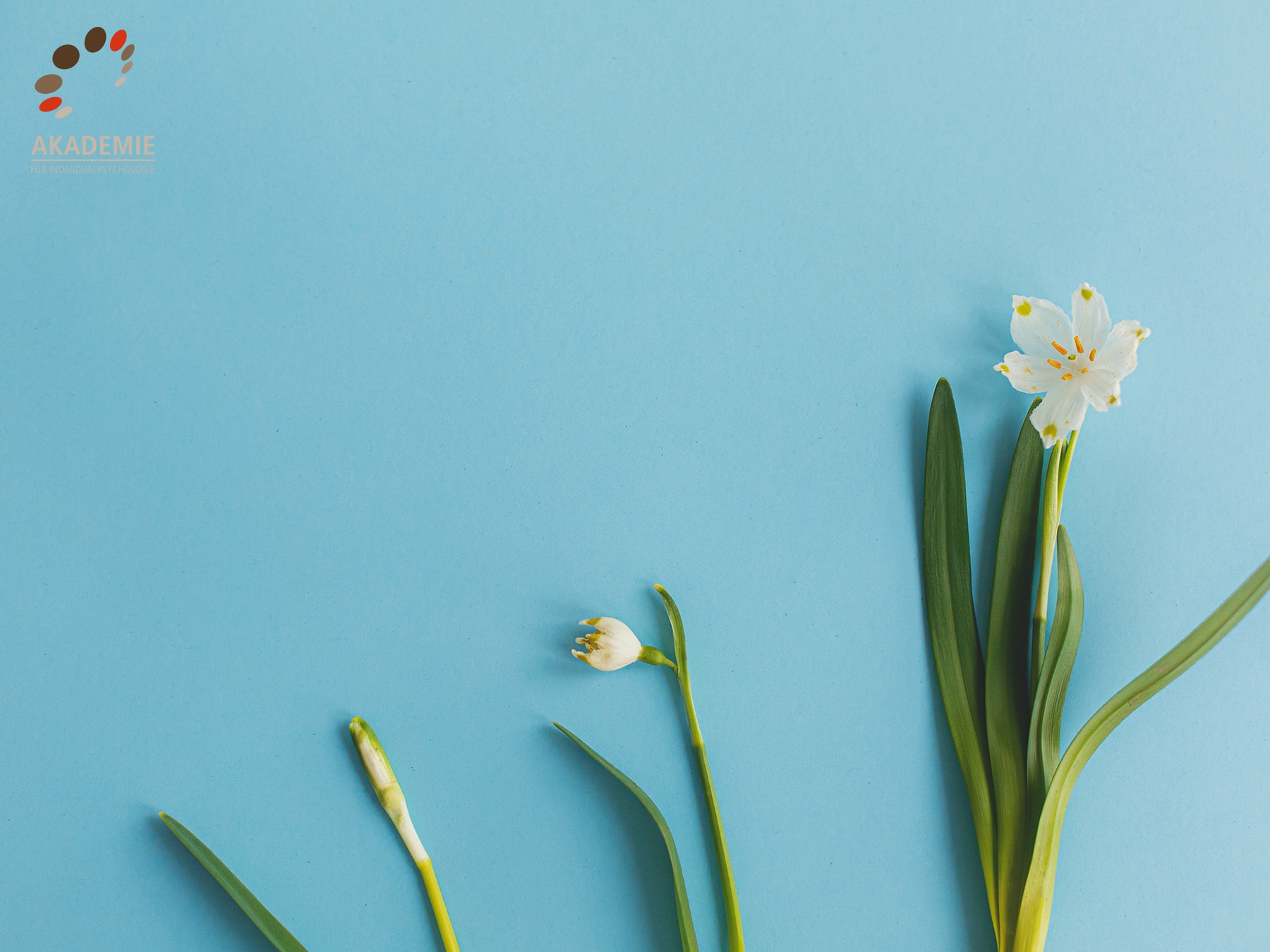 Persönliche Wachstumsschritte erhöhen den Selbstwert
