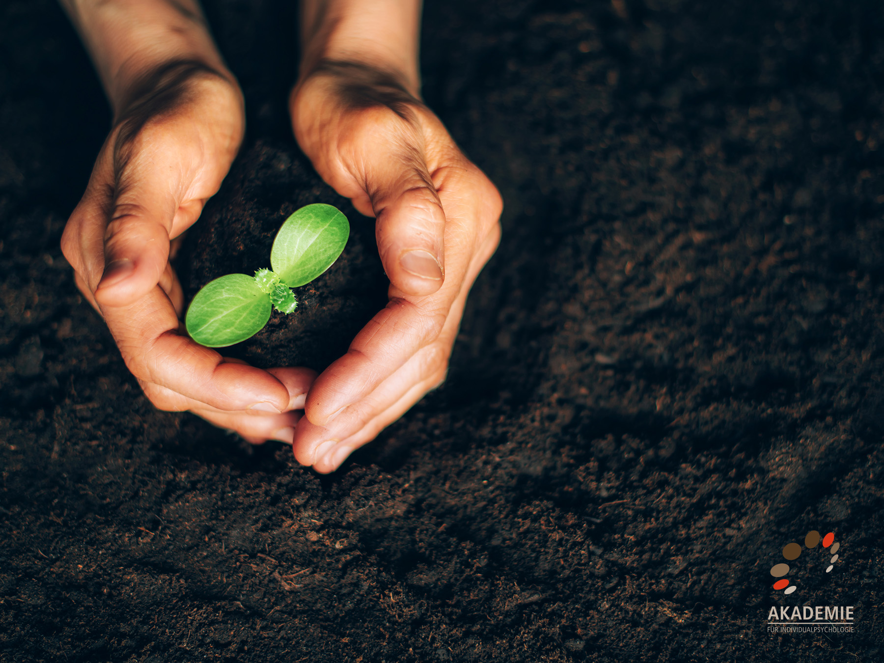 Selbsterweiterung – stetige Entwicklung stärkt Selbstvertrauen und fördert Lebenszufriedenheit