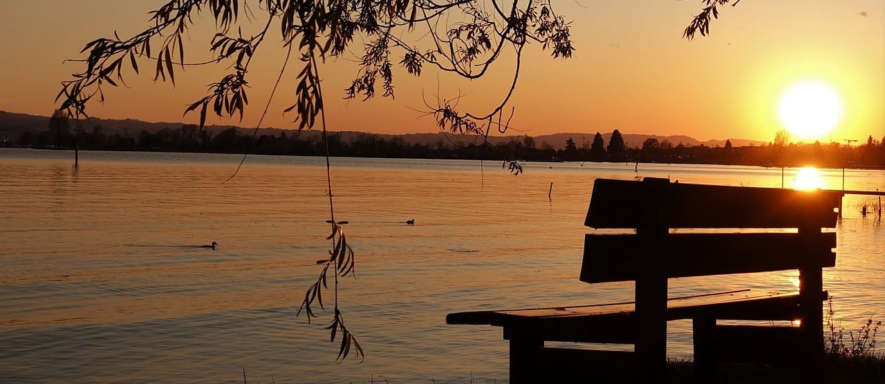 Trauma erkennen und begleiten: Wege zur Heilung